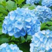 ヒメ日記 2026/07/03 18:29 投稿 ののか 池袋人妻アデージョ