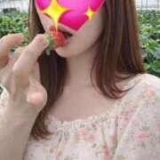 ヒメ日記 2026/03/15 11:17 投稿 若葉 ひより 30代40代50代と遊ぶなら博多人妻専科24時