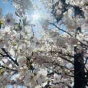 ヒメ日記 2026/04/09 07:16 投稿 若葉 ひより 30代40代50代と遊ぶなら博多人妻専科24時