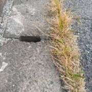 ヒメ日記 2026/03/24 16:49 投稿 あい 佐賀人妻デリヘル 「デリ夫人」