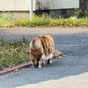 ヒメ日記 2026/03/29 14:59 投稿 あい 佐賀人妻デリヘル 「デリ夫人」