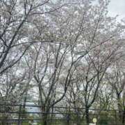 ヒメ日記 2026/04/13 22:16 投稿 あい 佐賀人妻デリヘル 「デリ夫人」