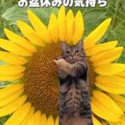 ヒメ日記 2026/08/14 12:40 投稿 あい 佐賀人妻デリヘル 「デリ夫人」