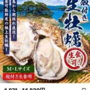 ヒメ日記 2026/09/08 10:10 投稿 あい 佐賀人妻デリヘル 「デリ夫人」