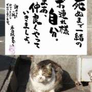 ヒメ日記 2026/09/29 11:31 投稿 あい 佐賀人妻デリヘル 「デリ夫人」