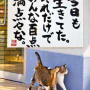 ヒメ日記 2026/10/08 13:31 投稿 あい 佐賀人妻デリヘル 「デリ夫人」