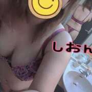 ヒメ日記 2026/03/17 04:08 投稿 しおん 静岡駅前ちゃんこ