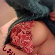 ヒメ日記 2026/03/22 20:48 投稿 しおん 静岡駅前ちゃんこ