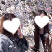 ヒメ日記 2026/04/10 14:49 投稿 まみ ムーランルージュ