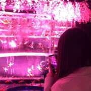 ヒメ日記 2026/04/14 10:58 投稿 まみ ムーランルージュ