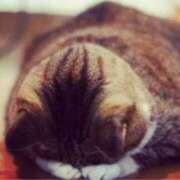 ヒメ日記 2026/03/21 12:03 投稿 新人あず 奥様メモリアル