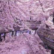 ヒメ日記 2026/03/23 19:27 投稿 新人あず 奥様メモリアル