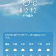 ヒメ日記 2026/03/25 10:06 投稿 新人あず 奥様メモリアル