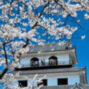 ヒメ日記 2026/04/01 07:06 投稿 新人あず 奥様メモリアル