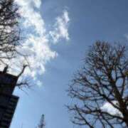 ヒメ日記 2026/04/03 20:06 投稿 新人あず 奥様メモリアル