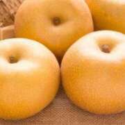 ヒメ日記 2026/04/04 06:06 投稿 新人あず 奥様メモリアル