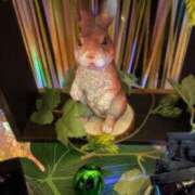 ヒメ日記 2026/04/04 20:06 投稿 新人あず 奥様メモリアル