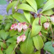 ヒメ日記 2026/04/05 11:06 投稿 新人あず 奥様メモリアル