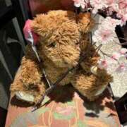 ヒメ日記 2026/04/05 12:06 投稿 新人あず 奥様メモリアル