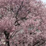 ヒメ日記 2026/04/05 16:06 投稿 新人あず 奥様メモリアル