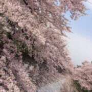 ヒメ日記 2026/04/07 07:06 投稿 新人あず 奥様メモリアル