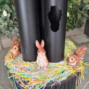 ヒメ日記 2026/04/07 11:33 投稿 新人あず 奥様メモリアル