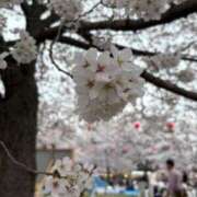 ヒメ日記 2026/04/07 13:06 投稿 新人あず 奥様メモリアル