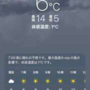 ヒメ日記 2026/04/08 07:06 投稿 新人あず 奥様メモリアル