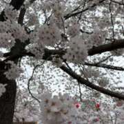 ヒメ日記 2026/04/09 22:06 投稿 新人あず 奥様メモリアル