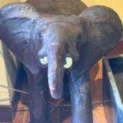 ヒメ日記 2026/04/11 20:06 投稿 新人あず 奥様メモリアル