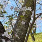 ヒメ日記 2026/04/14 21:06 投稿 新人あず 奥様メモリアル