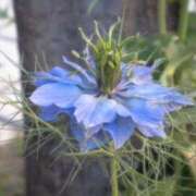 ヒメ日記 2026/04/21 01:06 投稿 新人あず 奥様メモリアル