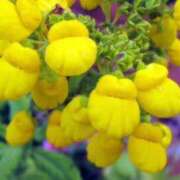 ヒメ日記 2026/04/25 11:06 投稿 新人あず 奥様メモリアル