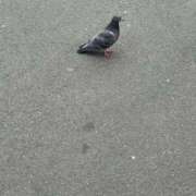 ヒメ日記 2026/04/09 13:49 投稿 こと セレブクエスト-Kawagoe-