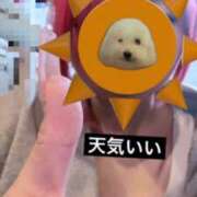 ヒメ日記 2026/07/14 15:19 投稿 くるみ ビアガーデンカーニバル