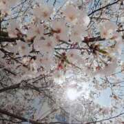 ヒメ日記 2026/03/18 19:00 投稿 (コスパ)田中ちか/地元出身 風俗イキタイいわき店