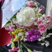 ヒメ日記 2026/05/11 22:30 投稿 (コスパ)田中ちか/地元出身 風俗イキタイいわき店