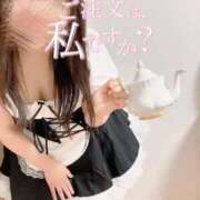 ヒメ日記 2026/03/17 22:33 投稿 あおば いわき小名浜ちゃんこ