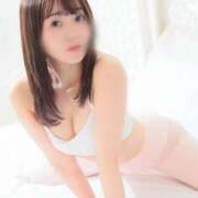 ヒメ日記 2026/03/15 08:42 投稿 つぐみ 桃李（とうり）