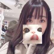 ヒメ日記 2026/04/04 17:36 投稿 つぐみ 桃李（とうり）