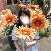 おとは(新人割6/10まで) ぽかぽか☀️ ニュー不夜城