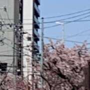 ヒメ日記 2026/03/14 13:24 投稿 ほたる 逢って30秒で即尺