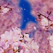 ヒメ日記 2026/03/16 11:34 投稿 ほたる 逢って30秒で即尺