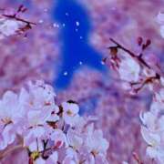 ヒメ日記 2026/03/23 00:49 投稿 ほたる 逢って30秒で即尺