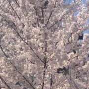 ヒメ日記 2026/03/26 16:14 投稿 ほたる 逢って30秒で即尺