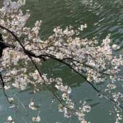 ヒメ日記 2026/03/31 16:34 投稿 ほたる 逢って30秒で即尺