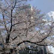 ヒメ日記 2026/04/02 10:19 投稿 ほたる 逢って30秒で即尺