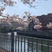 ヒメ日記 2026/04/02 14:34 投稿 ほたる 逢って30秒で即尺