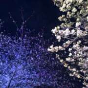 ヒメ日記 2026/04/04 22:57 投稿 ほたる 逢って30秒で即尺