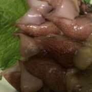 ヒメ日記 2026/04/08 19:14 投稿 ほたる 逢って30秒で即尺